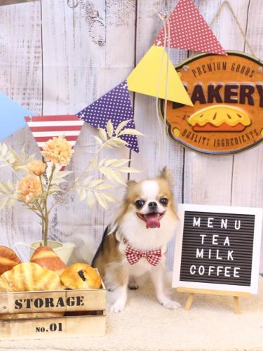 20240908プリューくん